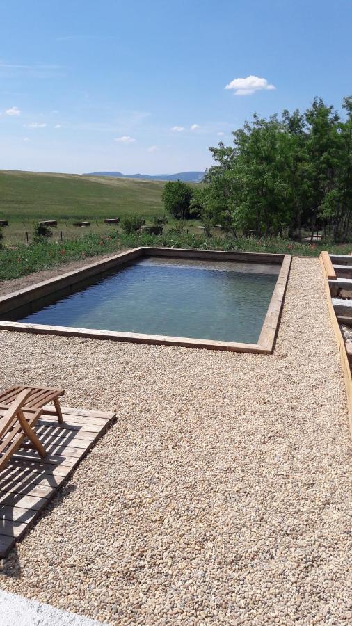 Chambre A La Ferme Au Milieu Des Lavandes 瓦朗索尔 外观 照片
