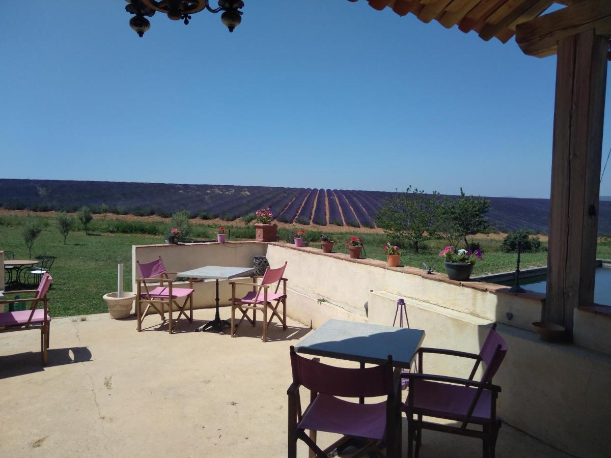 Chambre A La Ferme Au Milieu Des Lavandes 瓦朗索尔 外观 照片
