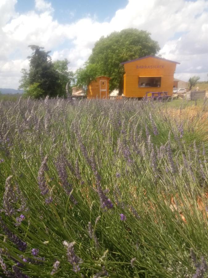 Chambre A La Ferme Au Milieu Des Lavandes 瓦朗索尔 外观 照片