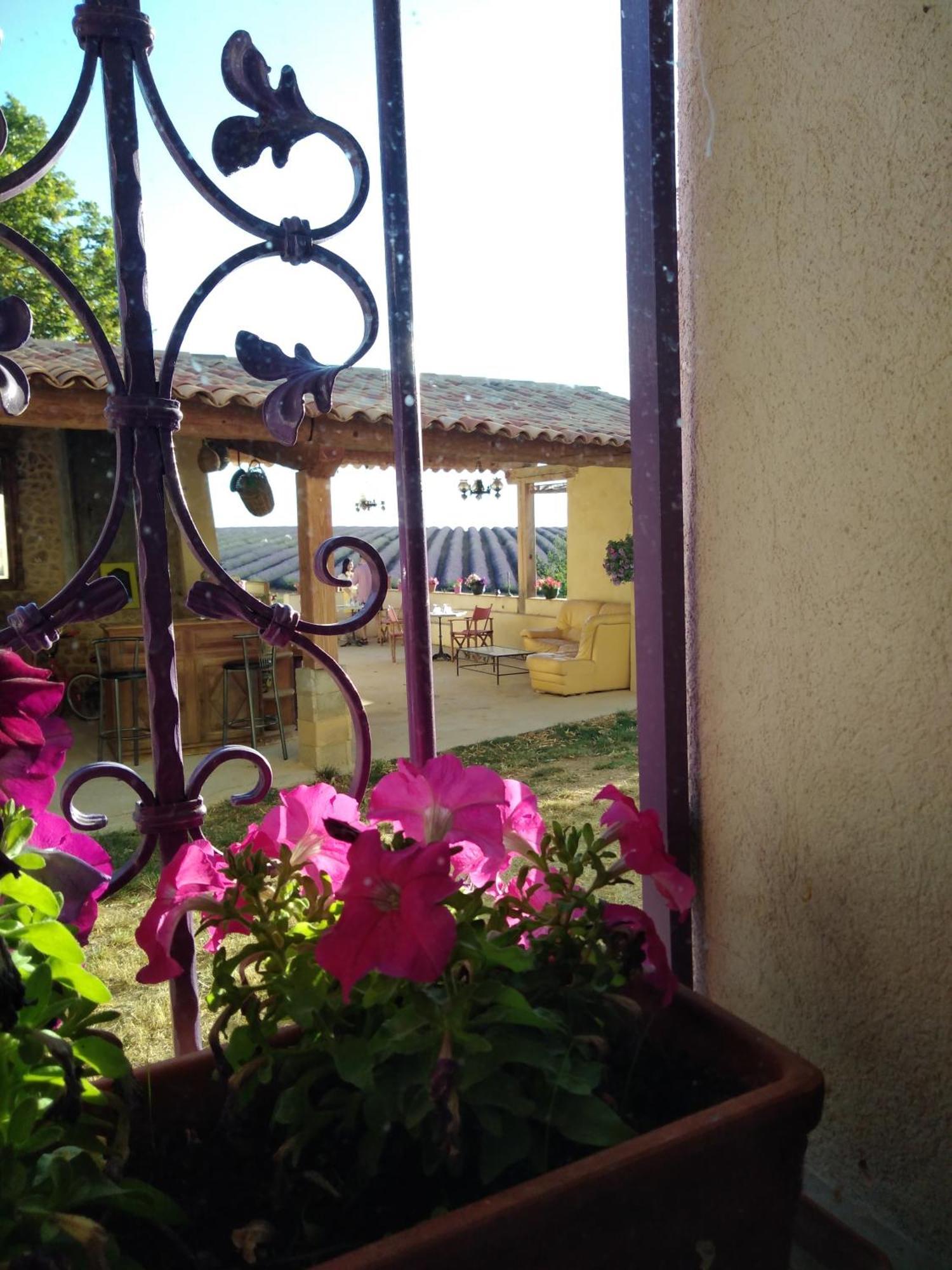 Chambre A La Ferme Au Milieu Des Lavandes 瓦朗索尔 外观 照片
